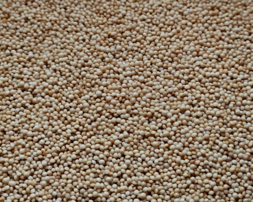Amaranth - Bio  hochkeimfähig 1000 gr.