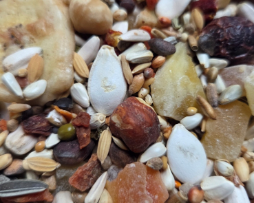 Preview: Amazon - Tropica Südamerika Birds 10.000 gr.