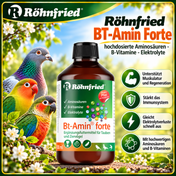 Bt-Amin forte - 100 ml