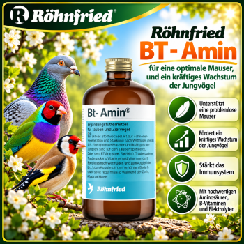 BT- Amin  1000 ml