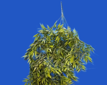 Bambus - Ranke      länge ca. 83 cm