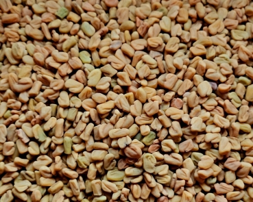 Bockshornkleesamen Naturbelassen  neu 1000 gr.