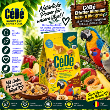 CéDé Eifutter feucht Allround Nüsse & Obst grob 200 gr.