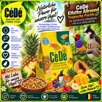 CéDé Eifutter feucht Allround Tropische Früchte  200 gr.