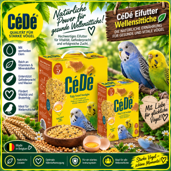 Cede Wellensitich   1000 gr.
