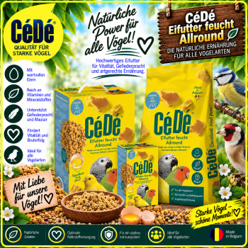 Cede Erhaltungsfutter  Alround   200 gr.