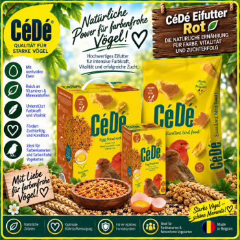 Cede Kanarien rot    1000 gr.