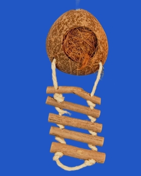 Cocos - Nuss Spaß mit Natureiter Länge ca. 56 cm