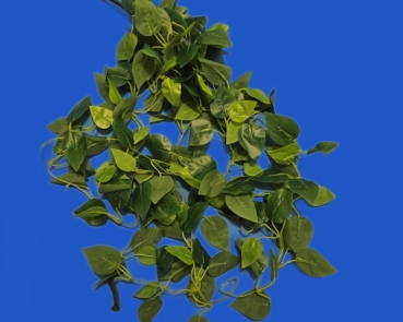 Efeublatt - Ranke  länge  ca.110 cm