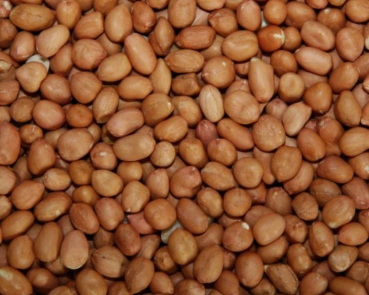 Erdnusskerne ganz -   Light - Skins -  300 gr.