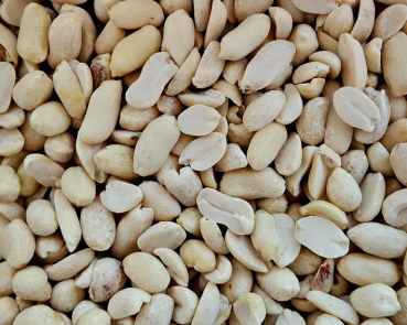 Erdnusskerne  geschält blanchiert  300 gr.