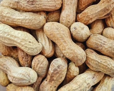 Erdnüsse in Schale - Naturbelassen - 350 gr.