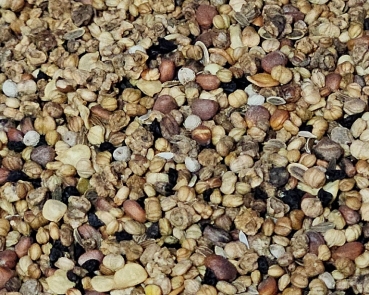Radieschensamen   Naturbelassen 1000 gr.