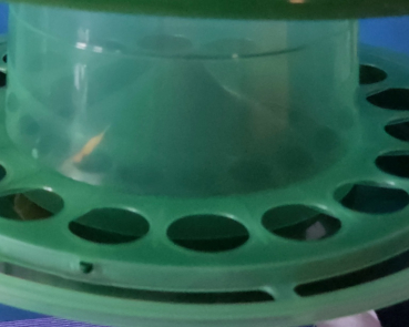 Preview: Futterampel XXL Kunststoff grün