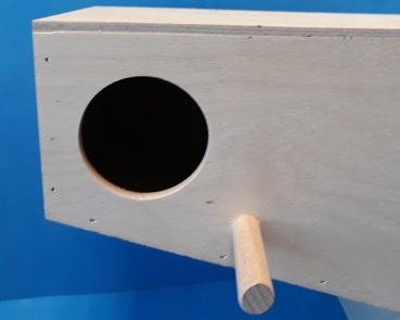 - Kopie