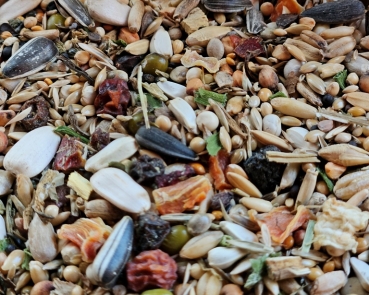 Großsittich  Geschmacksvielfalt  1000 gr.