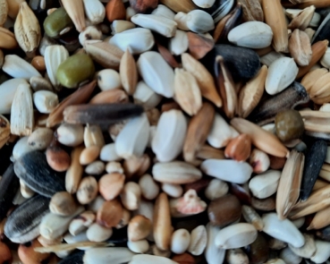 Sittich - Papageien  Keimfutter Mix 1000 gr.