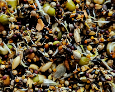 Gimpel Keimfutter  New Generation 1000 gr.