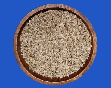 Grassamen - Mix Premium 2024    1000 gr.