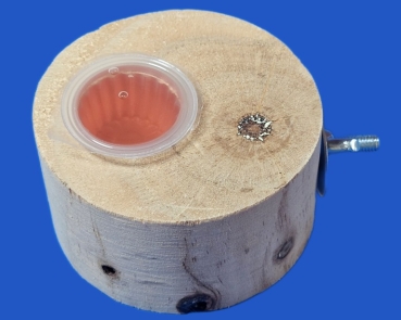 Halter zum Aufhängen  für Frucht Cups