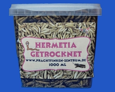 Soldatenfliegenlarven  getrocknet  Eimer 1000 ml