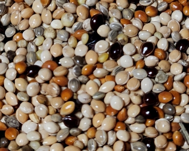 Wellensittich Power Hirse - Mix   2000 gr.