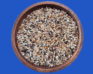 Positur & Farbe II  Kanarienfutter  1000 gr.