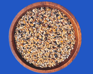 Positur & Farbe Power & Kondition 10.000 gr.