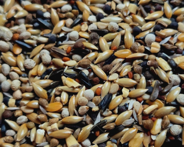 Preview: Positur & Farbe Power & Kondition 4000 gr.