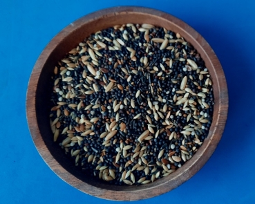 Kanarienfutter für Gesangskanarien   1000 gr.