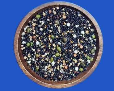 Kanarien Keimfutter Vielfalt 4000 gr.
