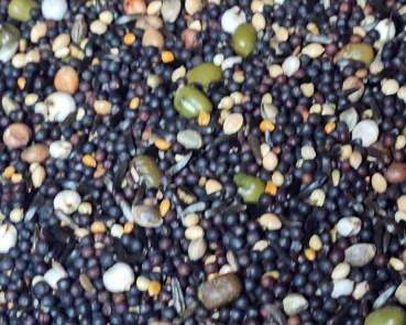 Kanarien Keimfutter Vielfalt 4000 gr.