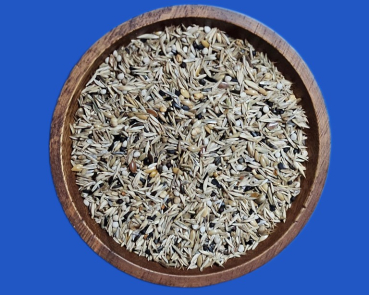 Kapuzenzeisig  Premium 2025 4000 gr.