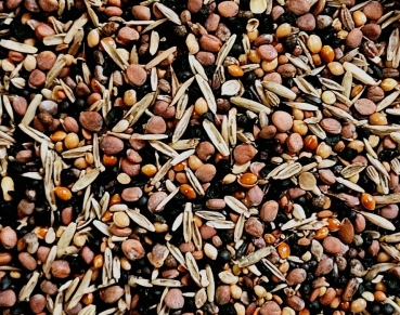 Kräuter & Gräser & Gesundheitssamen   1000 gr.