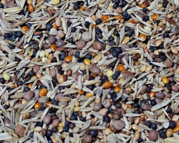 Kräuter & Gräser & Gesundheitssamen  4000 gr.