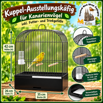 Kuppelausstellungskäfig Original