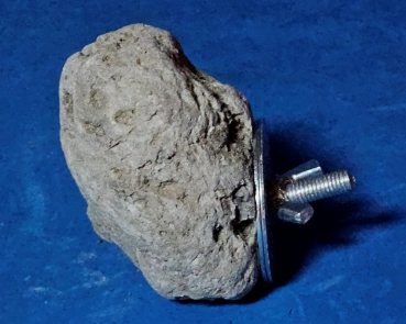 Java - Lava - Stein  Fuß & Krallenpflege Maße ca. 8 x 8 cm