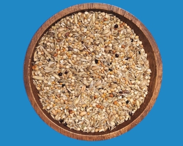 Lonchura Premium   Nonnen - Arten     10.000 gr.