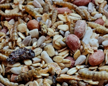 Meisenfutter Animal - Energie  5000 gr.