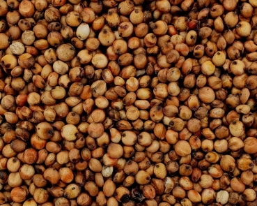 Milokorn   Naturbelassen 1000 gr.