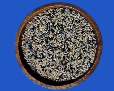 Mosaik Profess. Kanarienfutter  1000 gr.