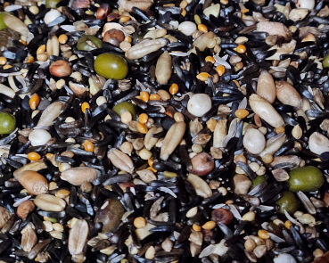 Mosaik Kanarien  Keimfutter Deluxe 4000 gr.