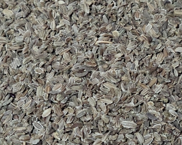 Möhrensamen   Naturbelassen 1000 gr.