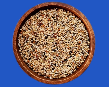 Neophemen  Saaten Vielfalt    1000 gr.