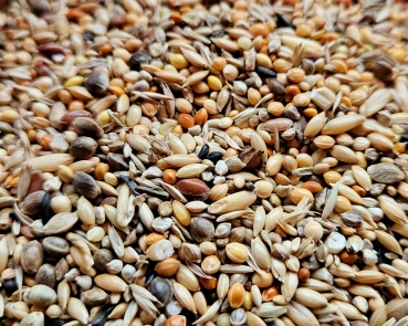 Neophemen  Saaten Vielfalt   4000 gr.