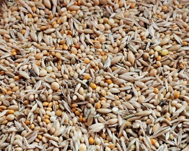 Papageiamadinen Select Premium  1000 gr.