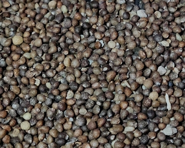 Perillasaat braun Naturbelassen 1000 gr.
