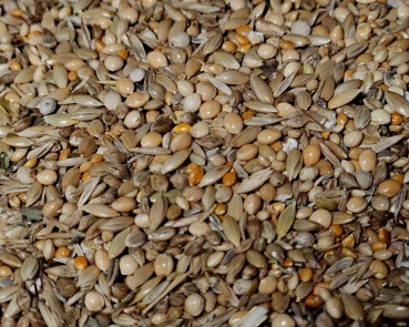 New - Generation Zucht & Aufbau     10.000 gr.