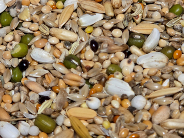 Preview: Prachtfinken Keimfutter  grob  10.000 gr.