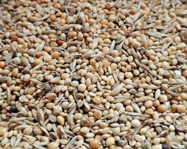 Prachtfinken Ruhephase - Select     10.000 gr.